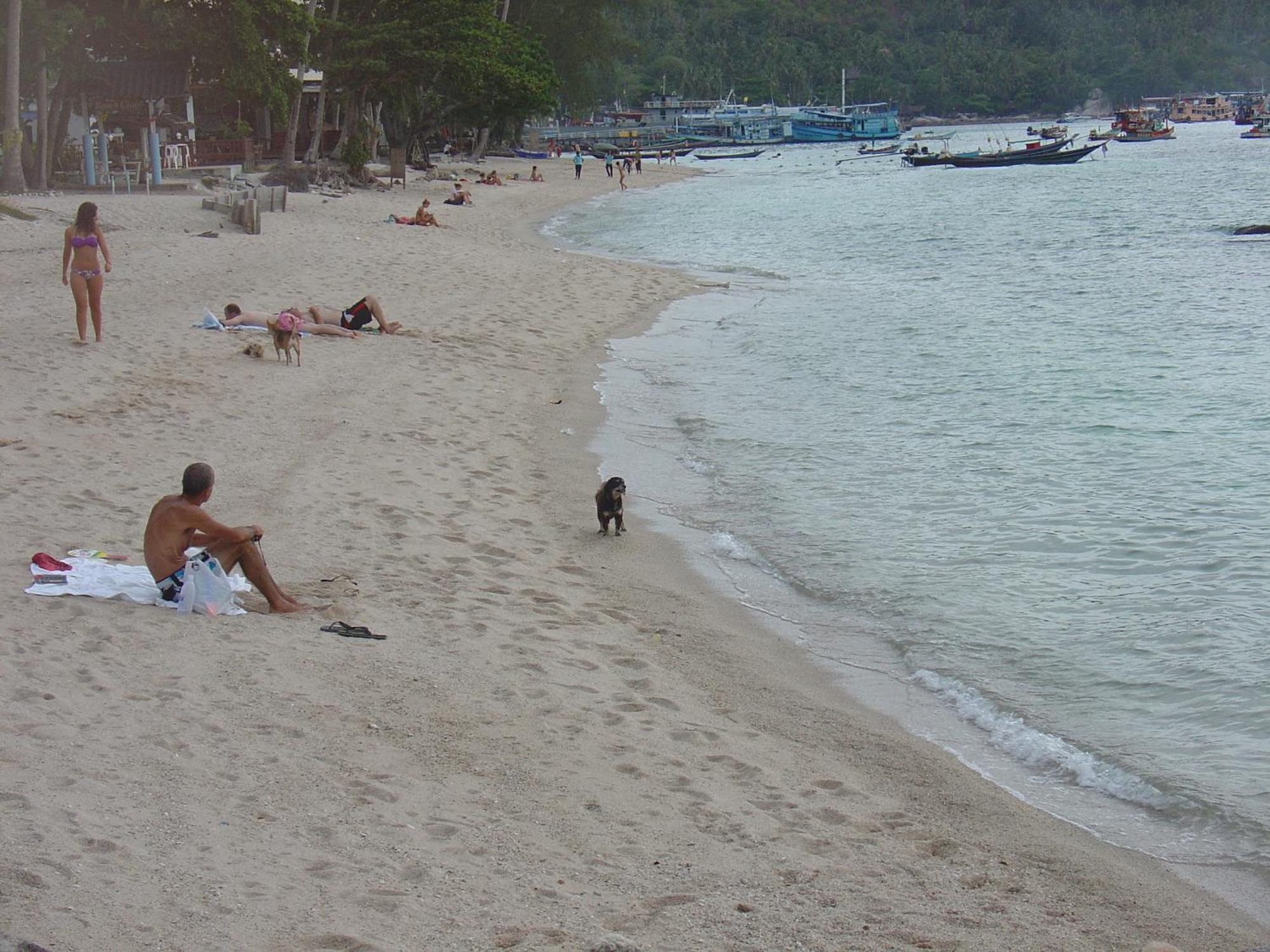 Queen Resort Ko Tao Exterior photo